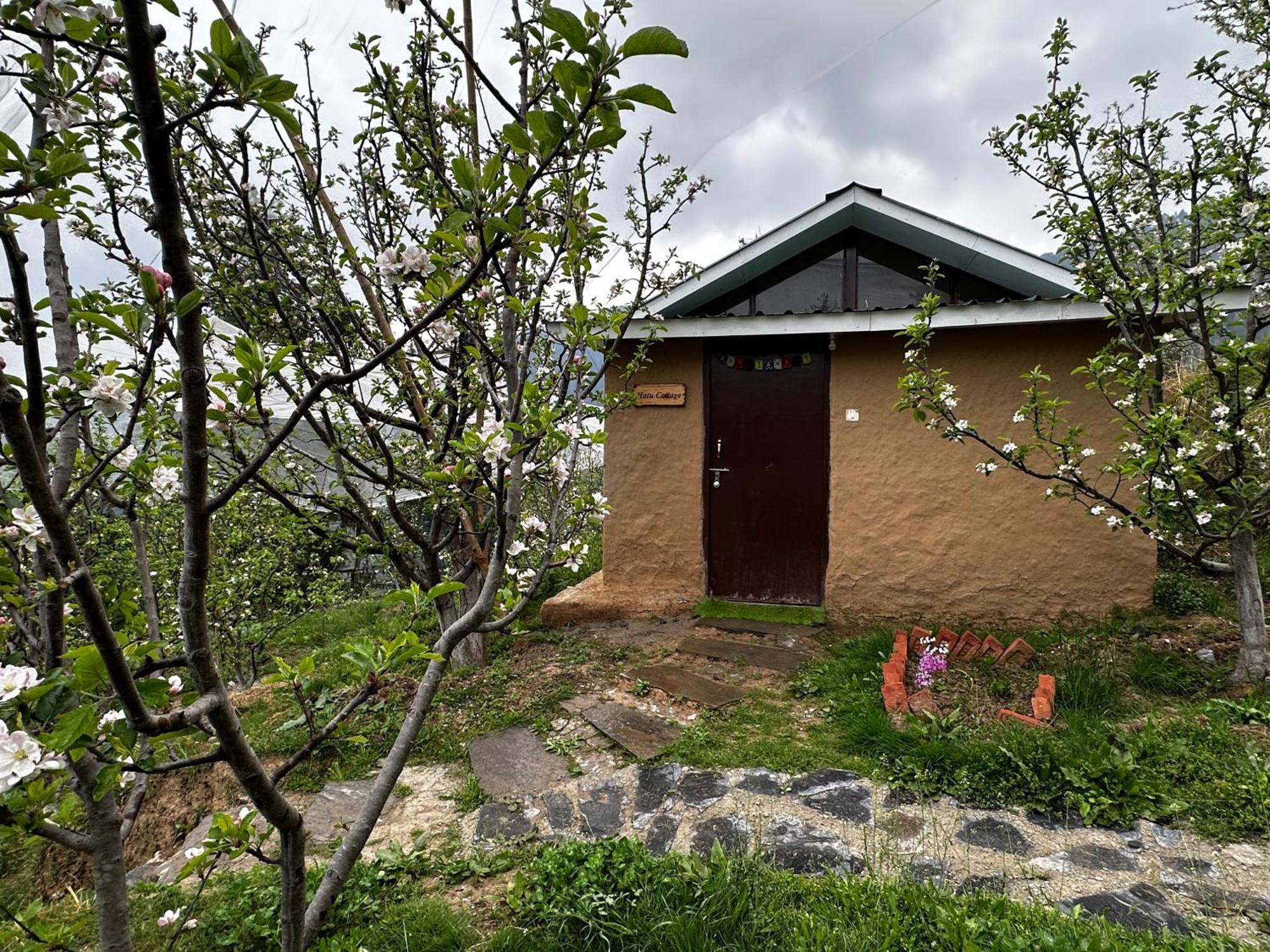Daak Bangla Retreat Hotel Kufri Ngoại thất bức ảnh