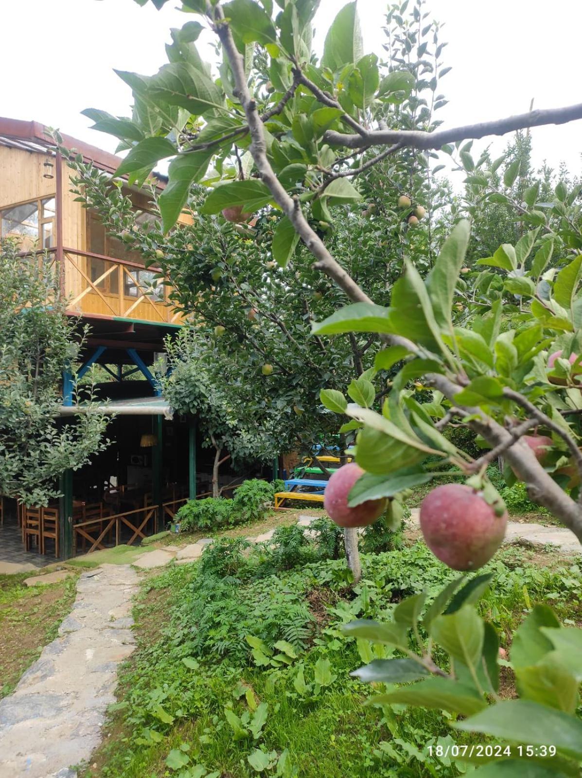 Daak Bangla Retreat Hotel Kufri Ngoại thất bức ảnh
